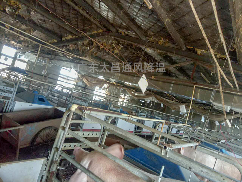 養(yǎng)殖場通風(fēng)降溫3